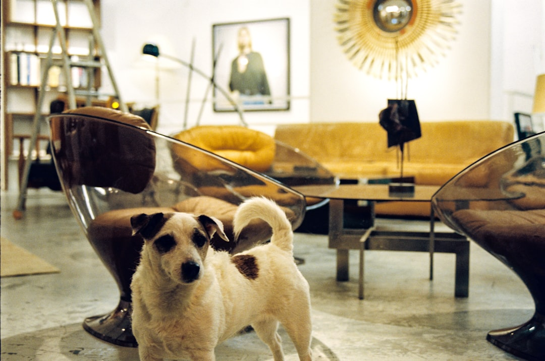 Minimalist Yatak Odası Dekorasyonu